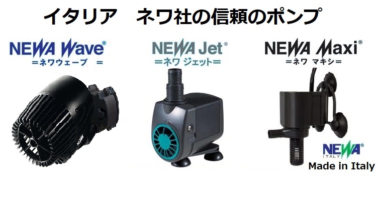 専門店では NEWA ネワジェット NJ3000 50Hz 水陸両用ポンプ fucoa.cl