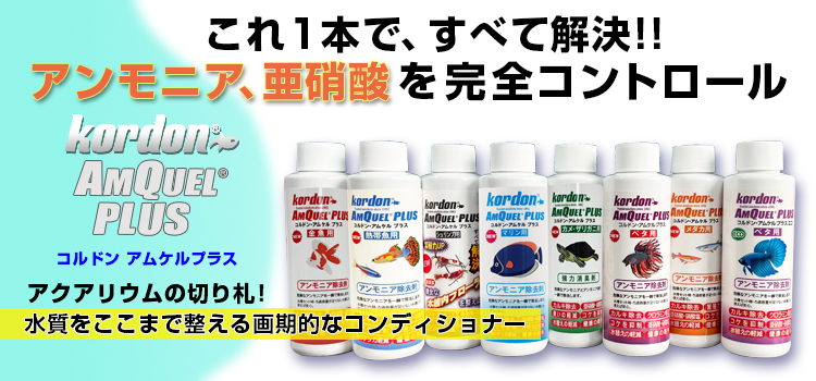 これ1本で全て解決！健全な水槽内フローラルを整えよう。アクアリウムの切り札、水質をここまで整える画期的なコンディショナー。コルドン・アムケルプラスの画像