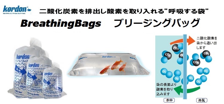 二酸化炭素を排出して酸素を取り入れる最新技術のフィッシュバッグ、コルドン・ブリージングバッグ（呼吸する袋）の画像